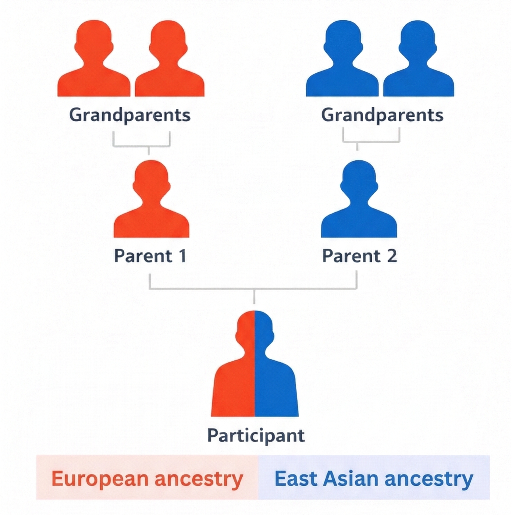 Ancestry Inclusion Criteria